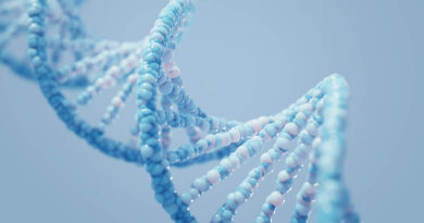 The secret code in our DNA