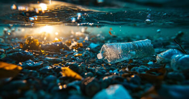 Nanoplastics in the Atlantic