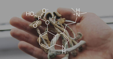 The Effects of Psilocin on Aging