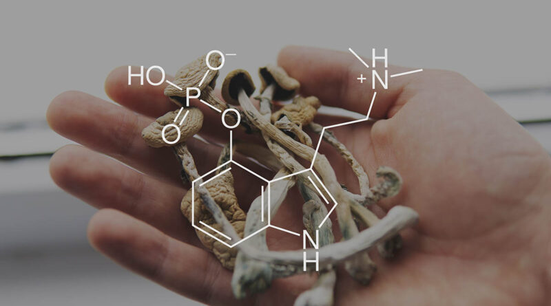 The Effects of Psilocin on Aging