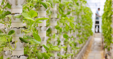 Vertical farming