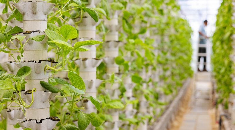 Vertical farming