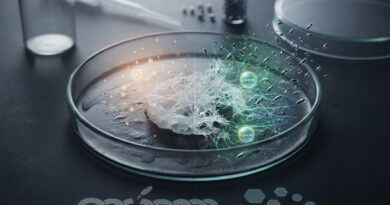 PCL biodegradation
